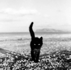 7ivy8