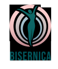 Bisernica Consulting
