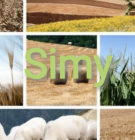 Kmetija-Simy