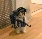 Lan_ocek