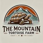 MountainTortoiseFarm