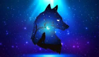 Timon18