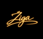 ZigaJ208