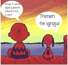 fenomentasticno