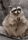 ohmmega