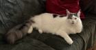 sandrar