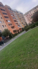 sanj461