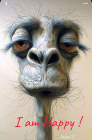 titusmagis
