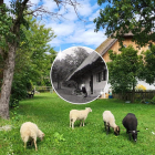 vanStadtberg