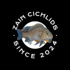 zancichlids