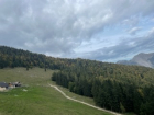 zoll1